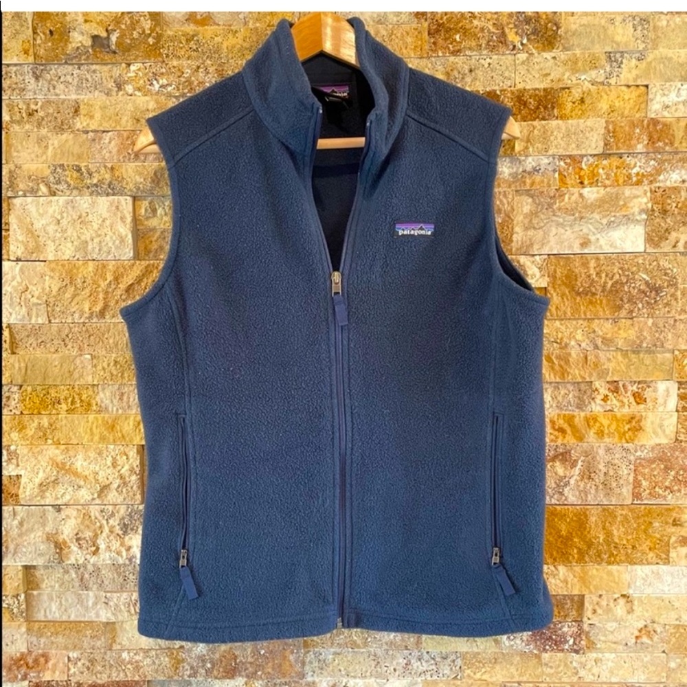 Patagonia Men’s Blue Fleece Vest